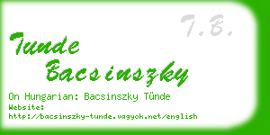 tunde bacsinszky business card